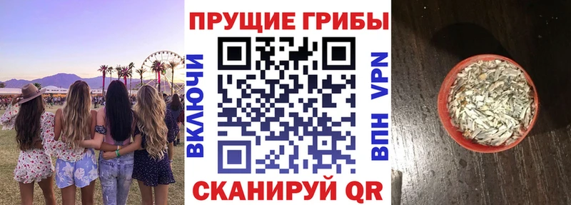 mega зеркало  Трёхгорный  Галлюциногенные грибы ЛСД 